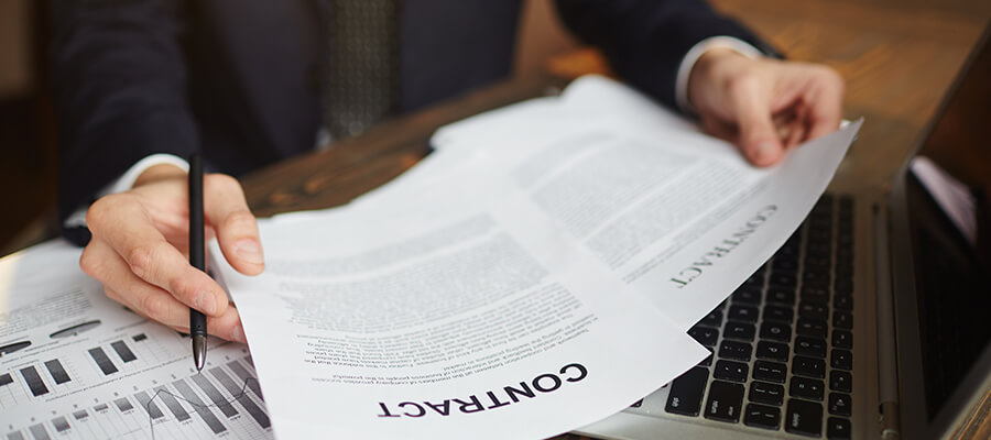 Business advisor reading a contract.