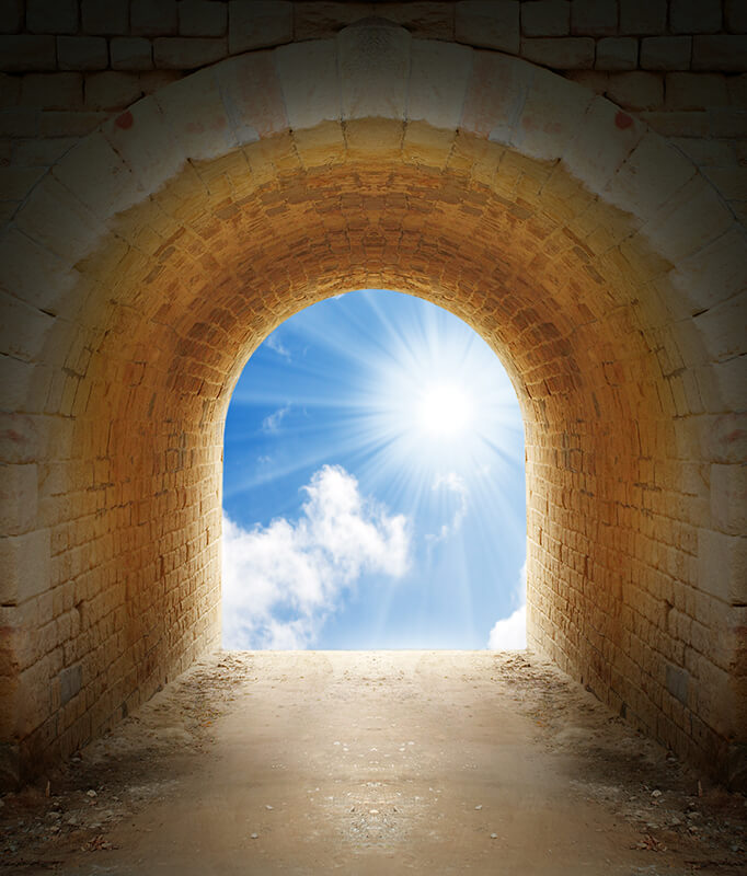 Harnessing the Power of Your Mind