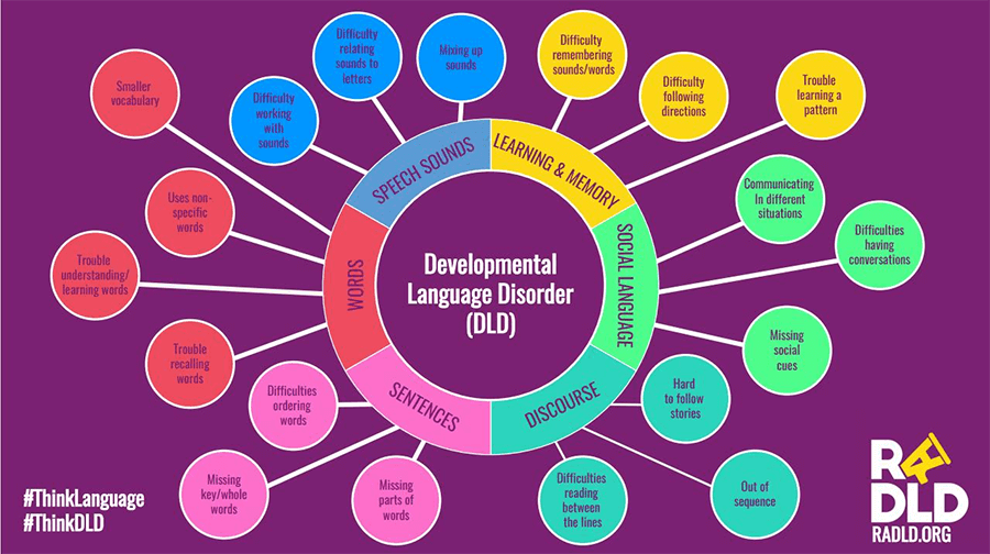 Developmental Language Disorder diagram.