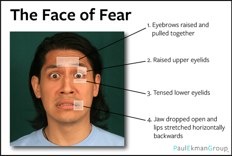 Fear facial expression.