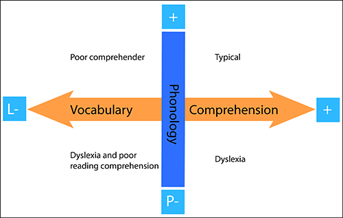 Distinction between phonology and language understanding.